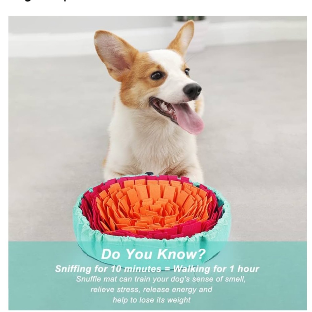 Snuffle Mat for Dogs